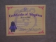 Adoption certificates come with the bears